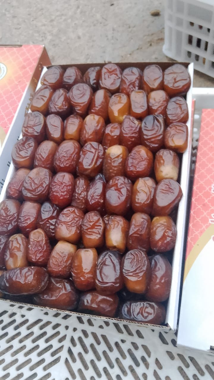 تمور بوفكوس – جودة فاخرة 2kg